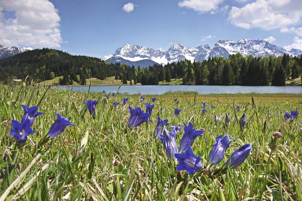 Beim Gschdoaga Leilighet Mittenwald Eksteriør bilde